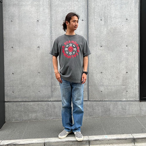 AH × SD Hit The Road Tour T