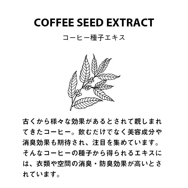 FRAGRANCE CAFE / SAND DUNE / ORIENTAL