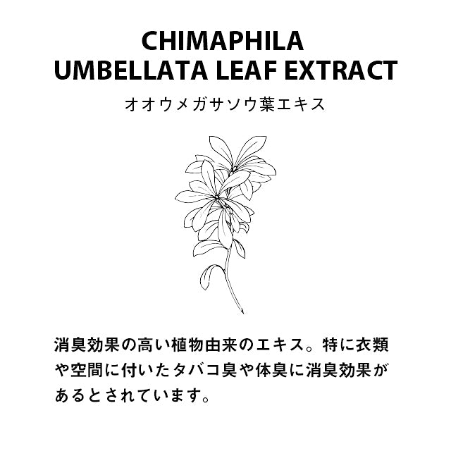FRAGRANCE CAFE / Tail wind / FLOWER