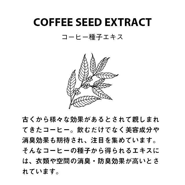 FRAGRANCE CAFE / BLESSED RAIN / WOOD