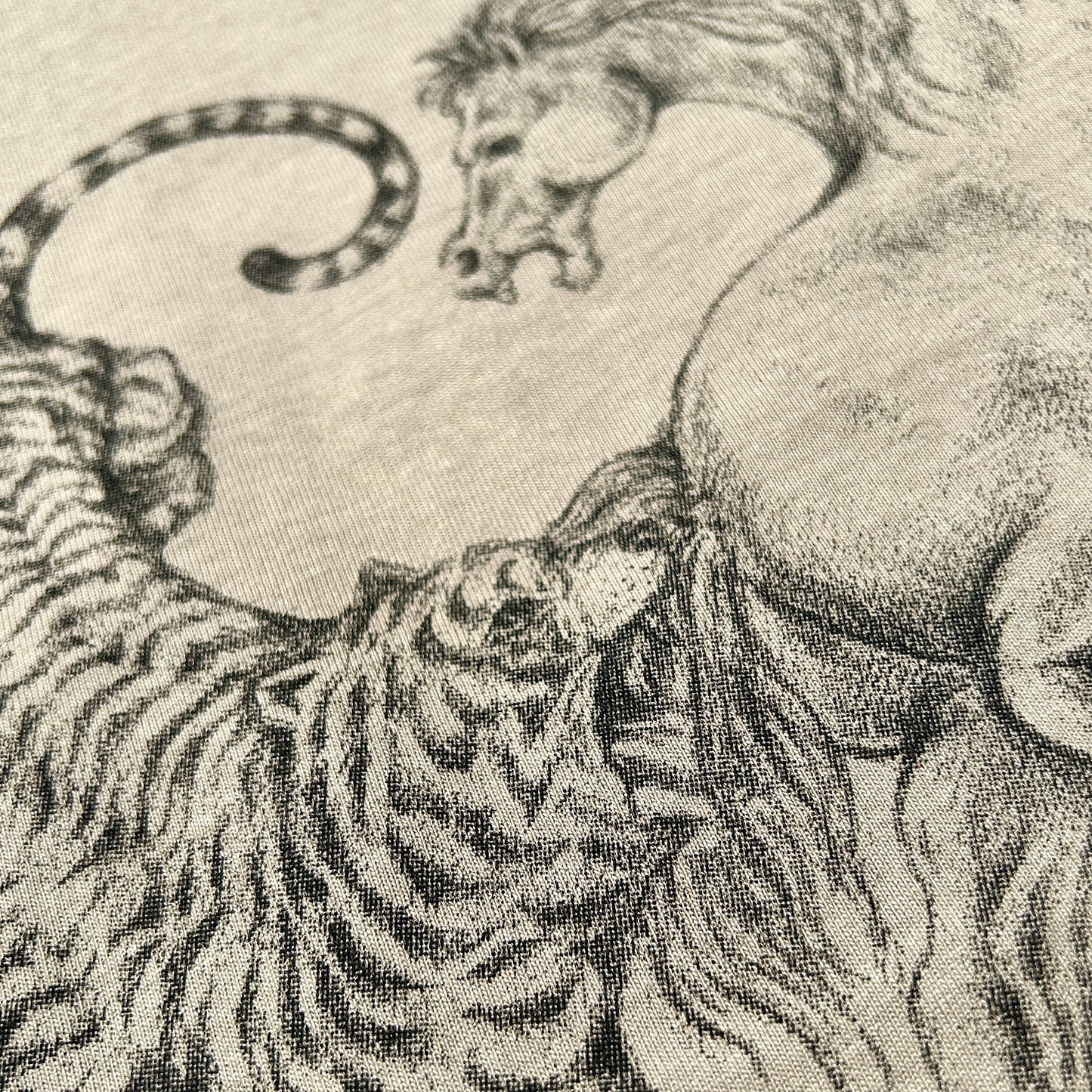 IN THE Back / Tiger&Horse I DSBK
