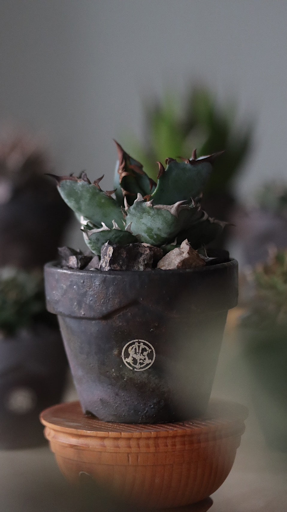 MASSES x 芽の巣山 TAKERO POT I IRON CHARCOAL