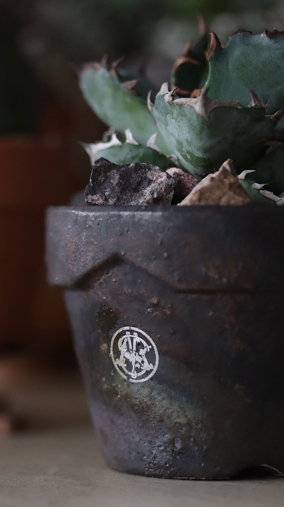 MASSES x 芽の巣山 TAKERO POT I IRON CHARCOAL