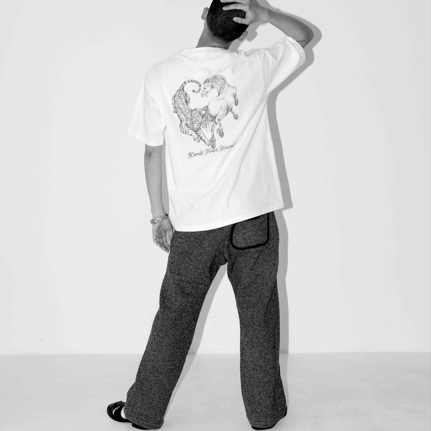 IN THE Back / Tiger&Horse I DSBK